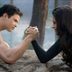Image for article titled The final Twilight movie is like a porn film with action figures